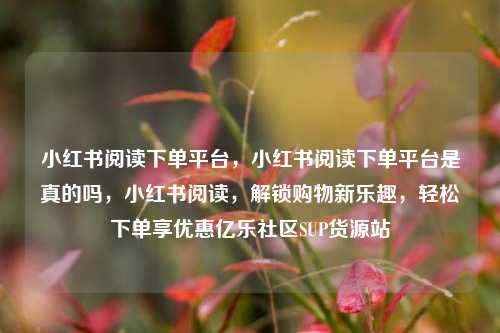 小红书阅读下单平台	，小红书阅读下单平台是真的吗，小红书阅读，解锁购物新乐趣	，轻松下单享优惠亿乐社区SUP货源站  第1张