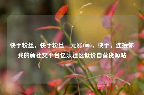 快手粉丝	，快手粉丝一元涨1000，快手，连接你我的新社交平台亿乐社区低价自营货源站  第1张
