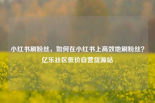 小红书刷粉丝，如何在小红书上高效地刷粉丝？亿乐社区低价自营货源站  第1张